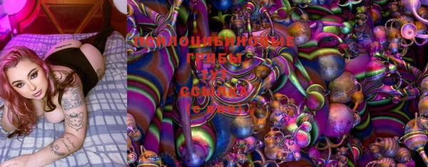 ECSTASY Бронницы