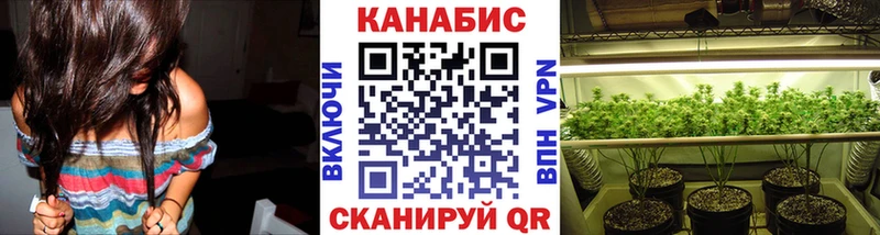Бошки Шишки THC 21%  купить закладку  ссылка на мегу сайт  Стерлитамак 